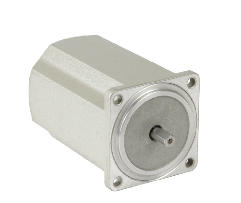 PEI-EI Precision Machinery Co., LTD-AC Motor - 1w3w