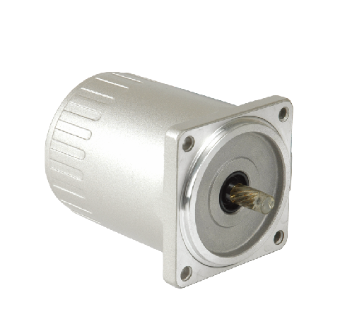 PEI-EI Precision Machinery Co., LTD-AC Motor – 6w